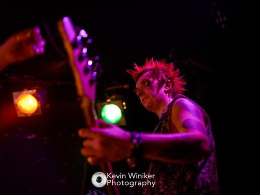 Live at War in Your Head Punkfest, Hamburg – 27.05.2017